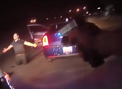 Las Vegas Police Shoot Man Dead after He Yells Shoot Me