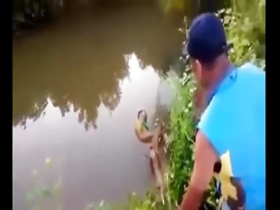 Man at the Mercy of a Crocodile after Falling into in River (Watch Full Video) 