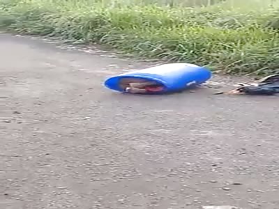 the trash in it's place