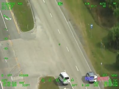Florida Woman Flips Van in a Wild Police Chase