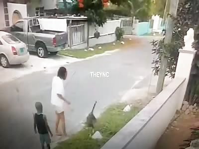Boy attacked by stray dog