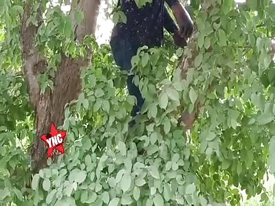 Kaushambi.  Corpse of an unknown young man found hanging from a tree