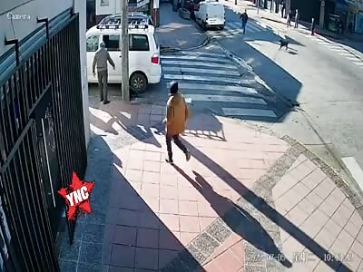 Woman crushed in pedestrian crossing