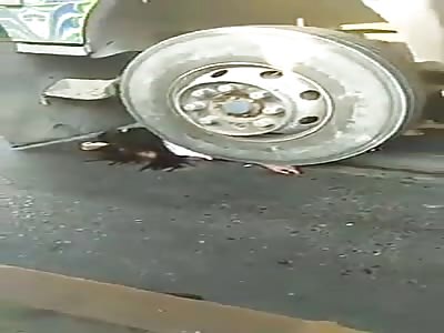 Little girl crushed by the tires of the truck
