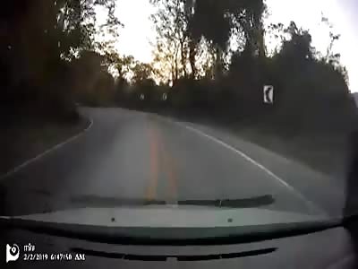 Idiot driver