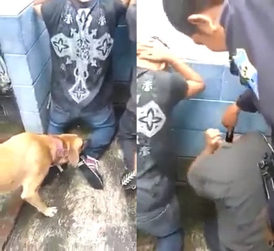 Mexican Police Torture Thieves with Electroshock and a Dog Bites its Legs 