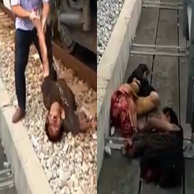 Remove man ripped to pieces by train