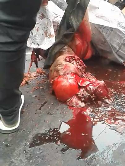 True GORE: Man Absolutely Ripped to Pieces [FULL VIDEO]