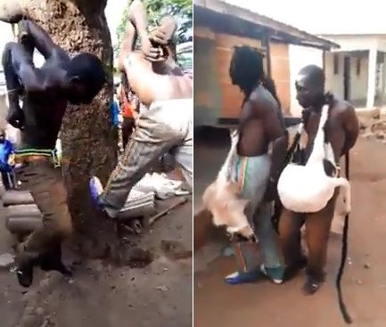 Goat Thieves Caught by Villagers Then Tortured