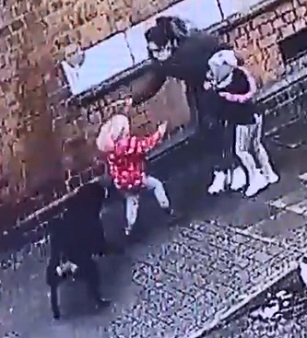 Two Toddlers in Hospital After Being Attacked by Huge Dog 