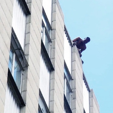 Horrific Scenes as Man Jumps Off 9th Floor of Building In Zimbabwe