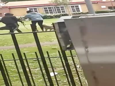 Horrifying Moment Out of Control Dogs Attack Woman In South London Park as She Screams Out In Pain.