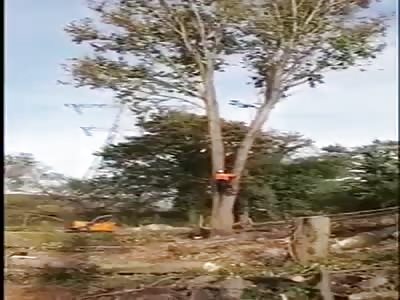 Man Gets Into Horrific Accident While Cutting Down A Tree!