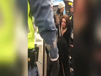Pregnant woman without ticket dragged off train by guards in Sweden