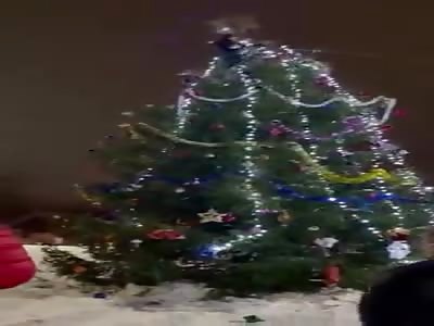 A man fell from a Christmas tree trying to steal a star