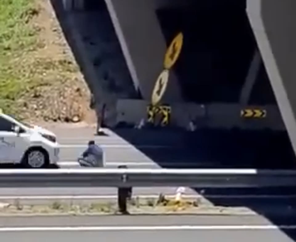 Suicidal Dude Finished Off By Car