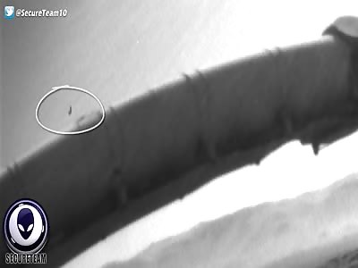 WINGED Alien Creature Flying In New Mars NASA Image