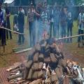 Indonesian Police Burn 3.3 Tons Of Cannabis And Accidentally Get A Whole Town High