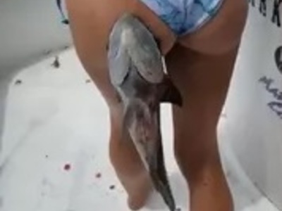 LOL: Shark Hungry for Some Ass