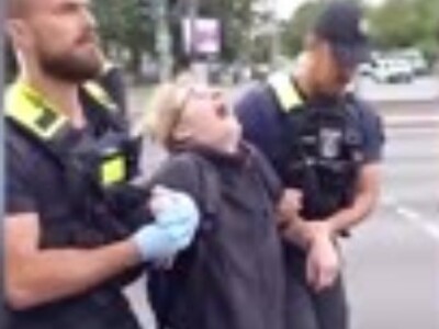 Climate Hoax Protester Hilariously Tortured by Police.