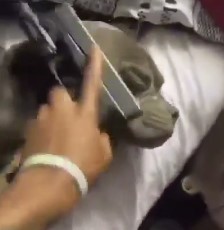 INFURIATING: Thugs Kidnap a Rival's Dog, in Disturbing Video.