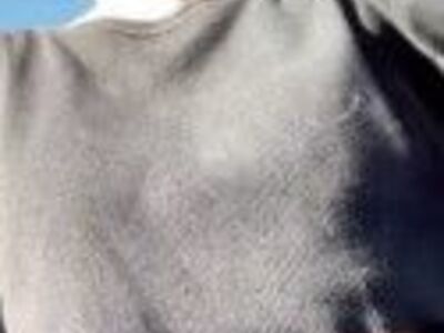 Didnt see that coming