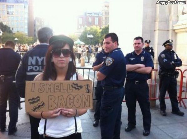 Cops Go Insane on Occupy Wall Street Girl that is Harassing them