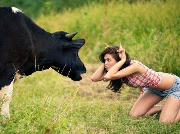 Pretty Girls Doing Duck Faces Shouldn't Taunt a Bull