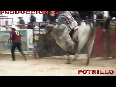 Bull Rider is Fatally Killed When his Head Struck the Gate