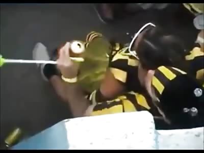 Couple in Bee Costumes Fuck at a Carnival infront of Crowd without Being Caught