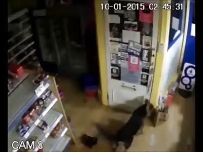 Thugs Barge into Store, Attack Shopkeeper and Bite Him on the Head