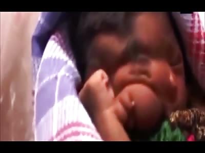 Deformed Elephant Baby in India is Worshiped Like a God 