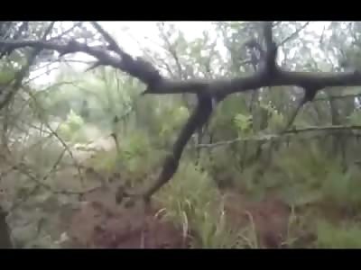 The Very Scary Moment a Huge Leopard Comes out of Nowhere and Attacks a Hunter