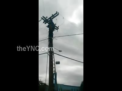Worker Electrocuted on Powerlines