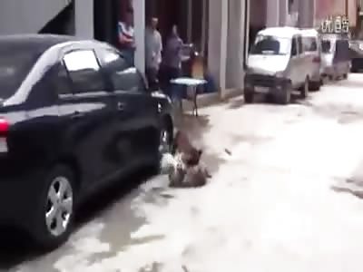 Pitbull Attacks Dog in a Street, People Struggle to Save the Dog