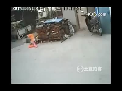 Very Sad: Little Girl on a Scooter gets Crushed 