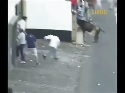 Bull pulls Spectator from Crown and Gives an Ass Whoopin 