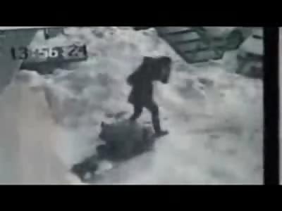 Girl is Knocked into a Coma from Falling Ice....WTF