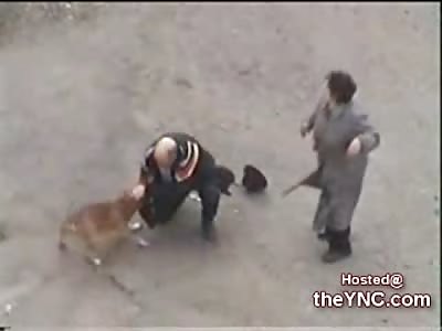 Violent, Out of Control Pitbull attacks its Owners