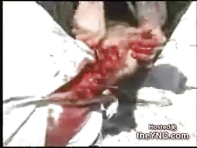 Graphic Video shows a Man Vomit while being Beheaded