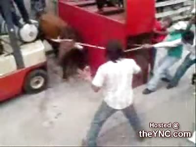 Man Seriously Hurt By Tormented Bull