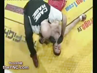 Brutal 9 Second Knockout sends a Fighter into a Seizure