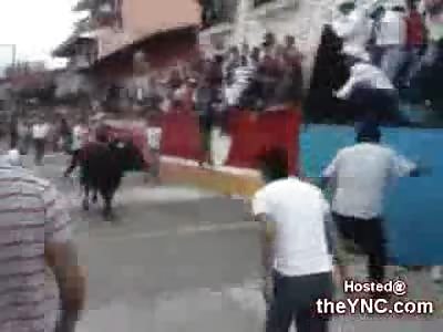 Bull puts his Entire Horn into the Leg of a Man trying to Hide