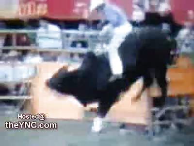 Bull Rider gets Thoroughly and Utterly Owned