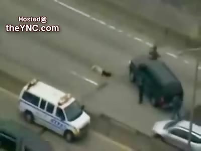 Dog Refuses to Let Police get Near his Killed Friend on the Highway