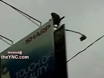 Thief Free Fall Suicide from BIllboard....Cameraman is a Bad One