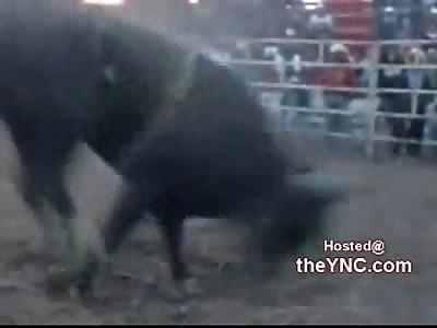 Bull Riders Arm Snapped in Half After he Falls 