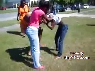 Black Chicks Battle and Try to Rip Each Others Shirts Off