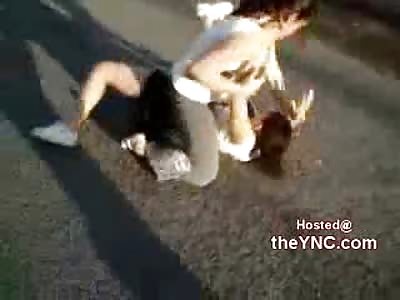 Crazy Chick Whooping ass Until She Gets Dragged off the Other Chick