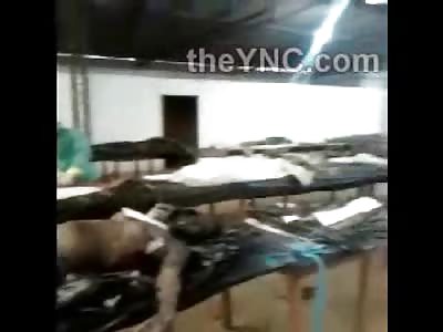 Gruesom Footage of Bloated Bdies lined up on Tables after Brazilian Flood